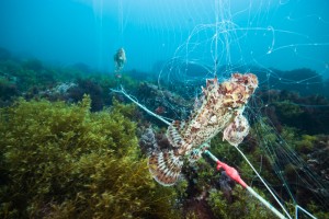 2012-05-10_HAICABIA-5