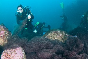 2013-09-24_CAP_FIGUIER-3