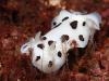 2007-10-20_LOS-PINOS_44.JPG