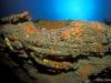 2007-03-04_GROTTE-A-JP_04.JPG